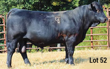 Lot 52 - TJB 408P VICKRAM 542C ET
